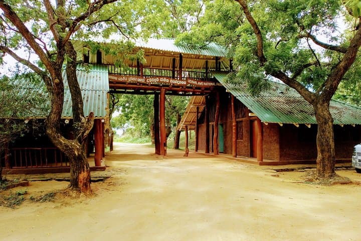 Udawalawe & Yala One-Day Safari: Elephant Herds to Leopard Country photo 4
