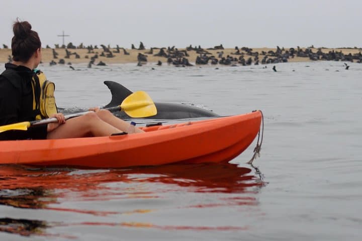 Kayak Pelican Point & Sandwich Harbour: Full-Day Guided Tour from Walvis Bay photo 3