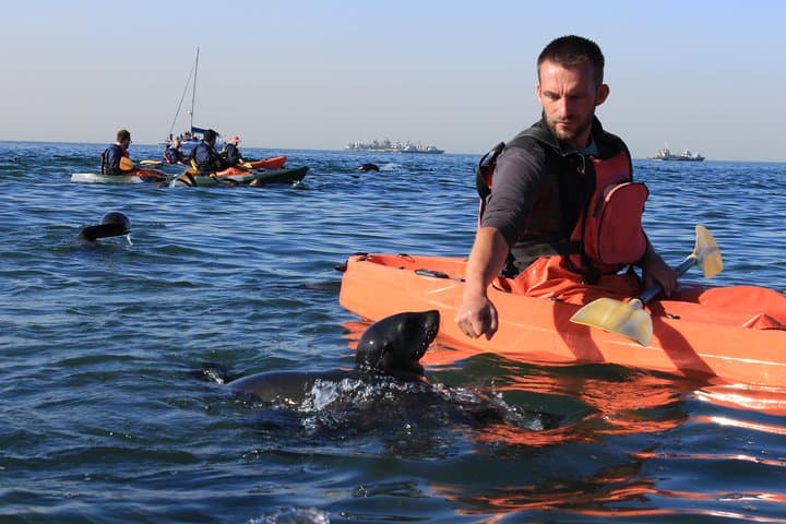 Kayak Pelican Point & Sandwich Harbour: Full-Day Guided Tour from Walvis Bay photo 2