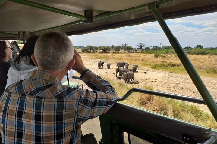 Serengeti Safari: 7-Day Tarangire, Lake Manyara & Ngorongoro Wildlife Tour photo 2