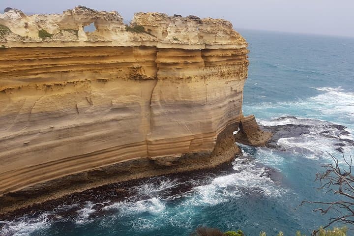 Private Express to the 12 Apostles: Great Ocean Road Highlights in a Day photo 6