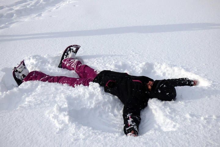 Easy Polar-Night Snowshoeing and Café Visit near Tromsø photo 5