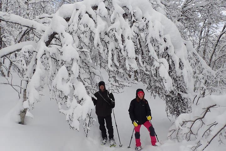 Guided Snowshoe Walk on Tromsøya Island — 2‑Hour Tromsø Winter Trek photo 4