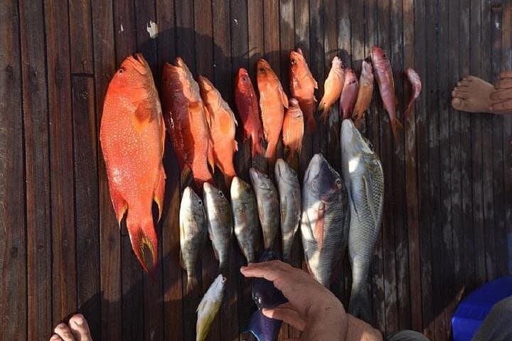 Hurghada Morning Private Fishing Trip on the Red Sea photo 1
