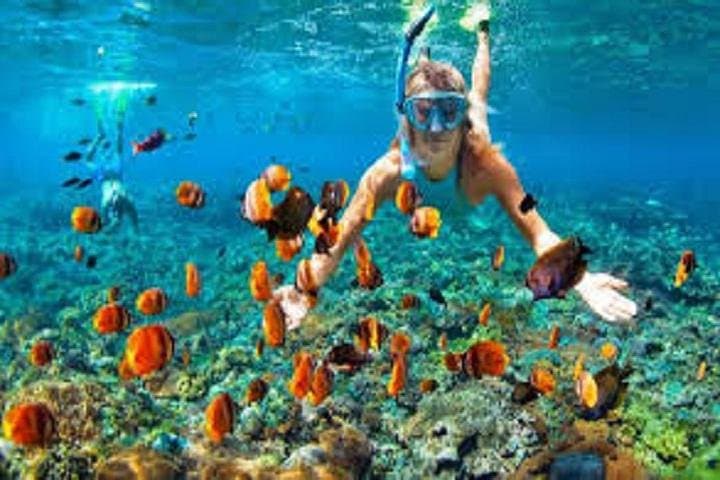 Snorkel Giftun Islands: Full-Day Red Sea Excursion from Hurghada photo 2