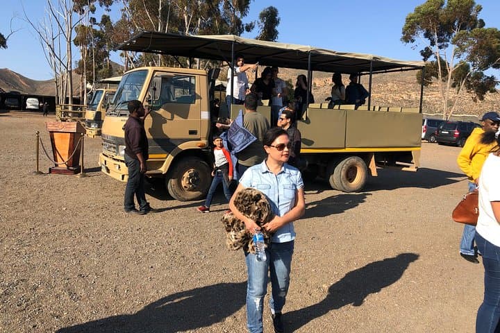 Full-Day Aquila Big 5 Safari with Shared Hotel Transfers from Cape Town photo 3