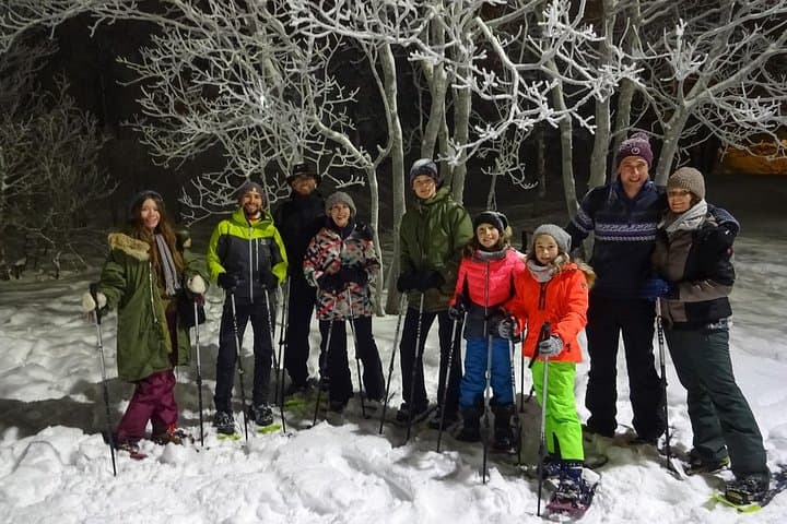 Tromsø Night Snowshoe & Campfire: Tobogganing Under Arctic Skies photo 3