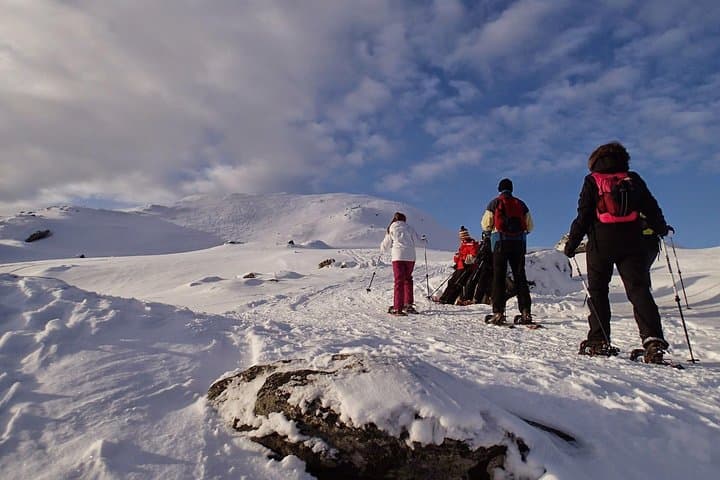 Kvaløya Snowshoe Hike from Tromsø — 400m Summit & Fjord Views photo 3