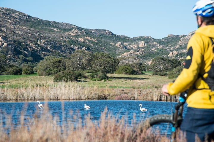 Explore Sardinia’s Oasi Biderosa and Capo Comino by Electric Mountain Bike photo 4