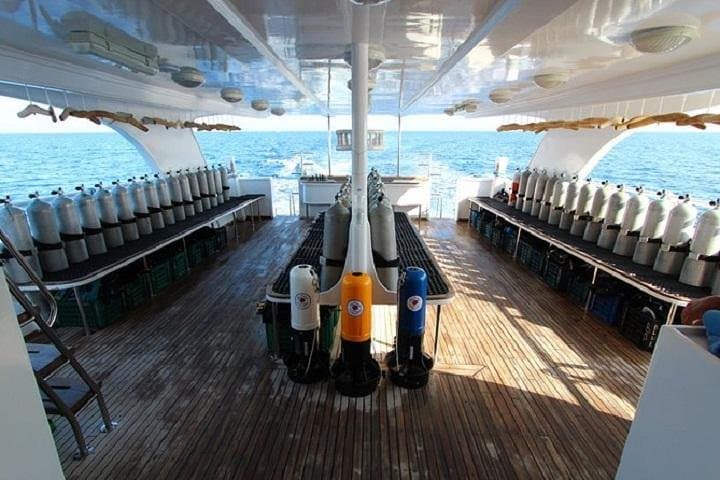 Full-Day Red Sea Boat Dives from Hurghada — 2 Dives on a Comfy Boat photo 4