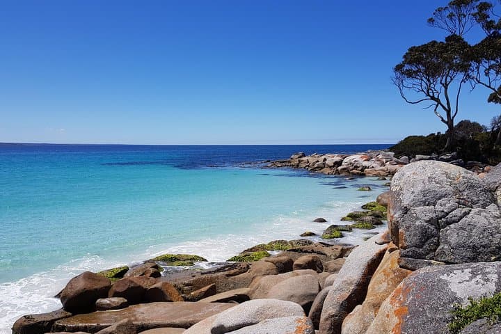 5-Day Tasmania East Coast Tour: Hobart to Launceston via Port Arthur & Bay of Fires