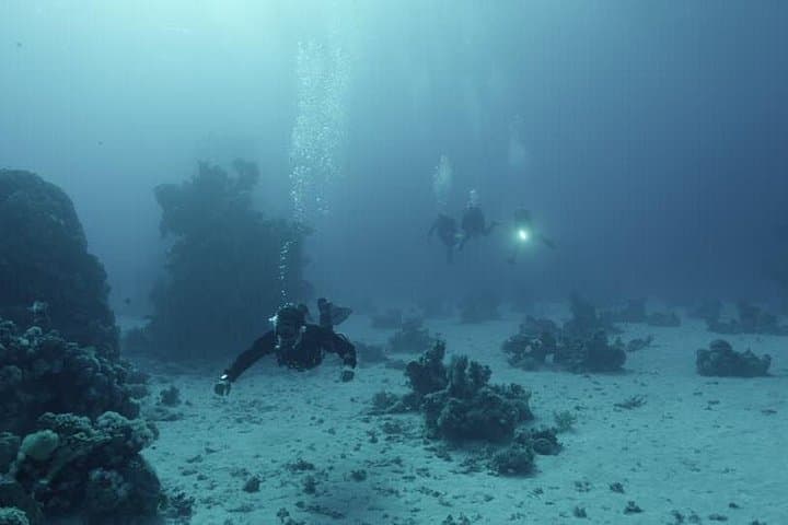 Red Sea Snorkeling from Hurghada: Full-Day Coral Reefs, Turtles & Boat Lunch photo 1