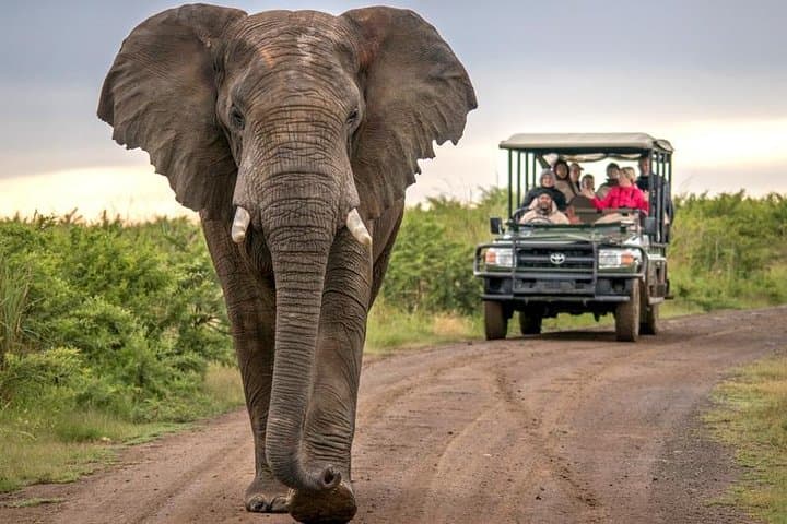 Garden Route & Addo Safari: 7-Day Cape Point to Winelands Adventure photo 2