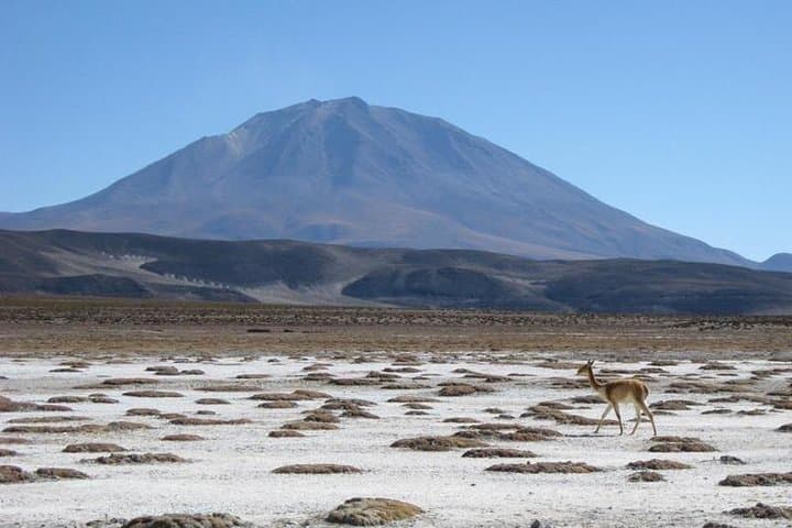 Salar de Uyuni 2-Day 4x4 Tour with Lodging & Minor Lagoons photo 2