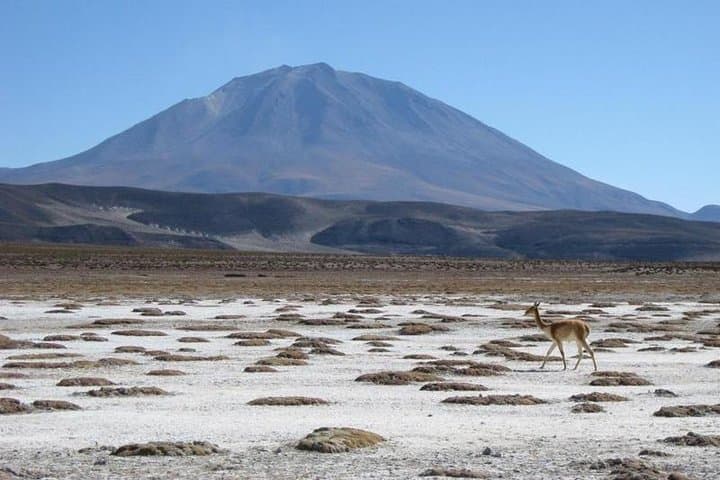 Three-Day Salar de Uyuni 4x4 Tour with Lagoons and Lodging photo 4