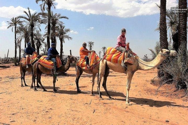 Sunset Camel Ride in Marrakech Palmeraie — Berber Tea & Palm Grove Views photo 3