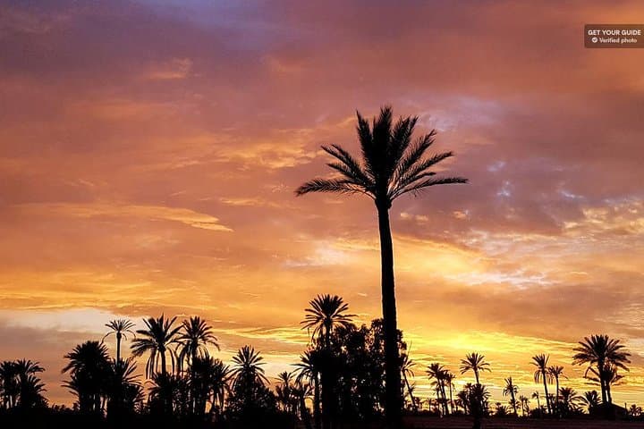 Sunset Camel Ride in Marrakech Palmeraie — Berber Tea & Palm Grove Views photo 2