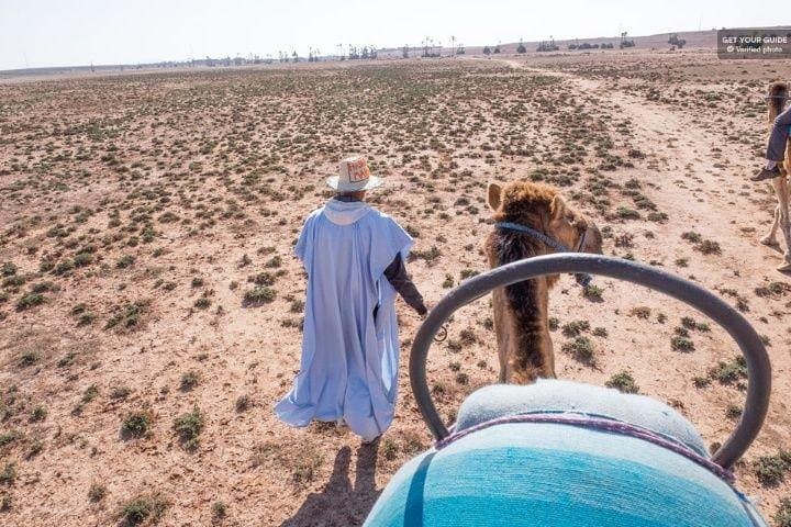 Sunset Camel Ride in Marrakech Palmeraie — Berber Tea & Palm Grove Views photo 6