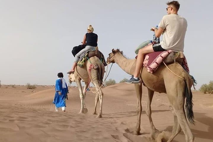 Dubai Desert Safari: Camel Ride, Dune Bashing & BBQ Camp Experience photo 3