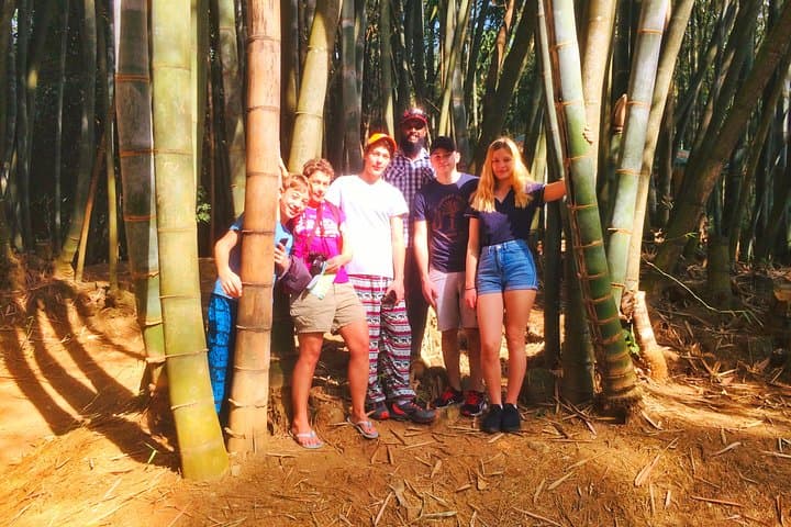 3-Day Explore Sri Lanka: Sigiriya Rock, Kandy Temple & Ayurvedic Retreat photo 3
