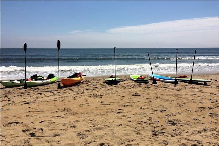 Dolphin Kayak Eco-Tour in Virginia Beach — Small-Group Chesapeake Bay Paddle photo 3