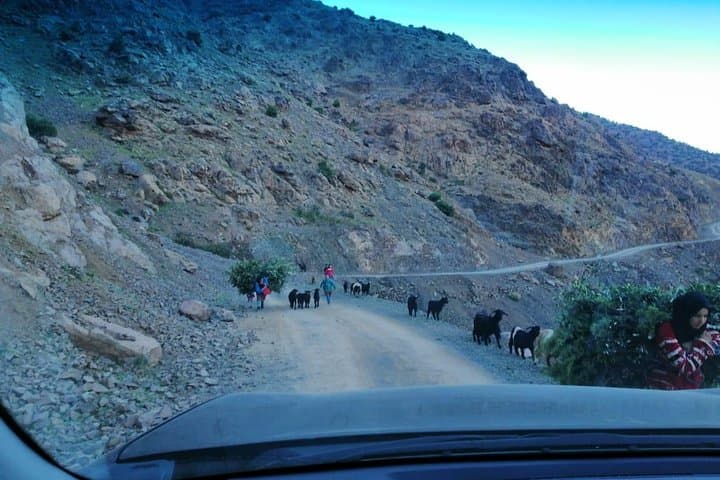 Marrakech Day Trip: Agafay Desert, Atlas Mountains & Waterfall with Camel Ride photo 3