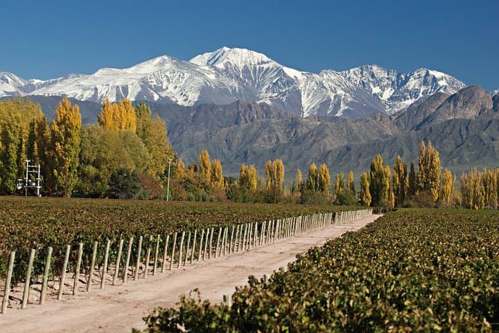 Aconcagua Day Trip from Mendoza: Horcones Lagoon Viewpoint & Puente del Inca photo 3