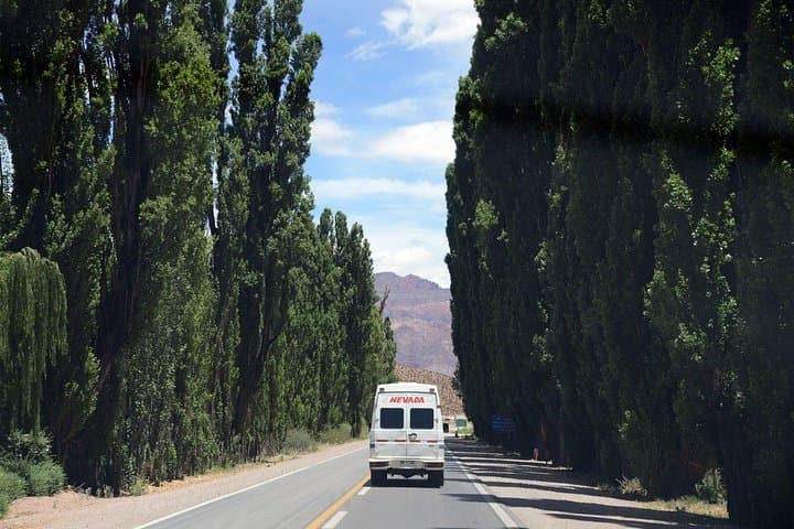 Aconcagua Day Trip from Mendoza: Horcones Lagoon Viewpoint & Puente del Inca photo 4