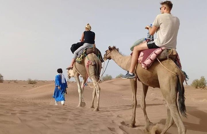 Dubai Evening Desert Safari: Private Dune Bashing, Camel Ride & BBQ Dinner photo 3