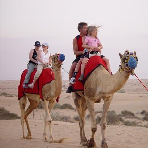 Dubai Evening Desert Safari: Private Dune Bashing, Camel Ride & BBQ Dinner photo 4