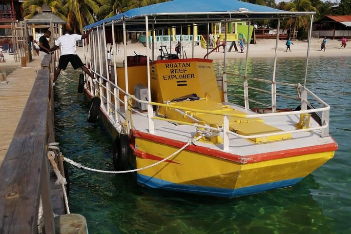 Semi-Sub Glass-Bottom Cruise with Monkey & Sloth Encounter — Roatán
