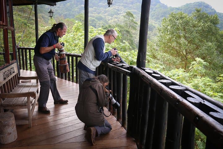 Chicaque Cloud Forest Birding: Day Trip from Bogotá to See Tanagers, Hummingbirds & Toucanets photo 5
