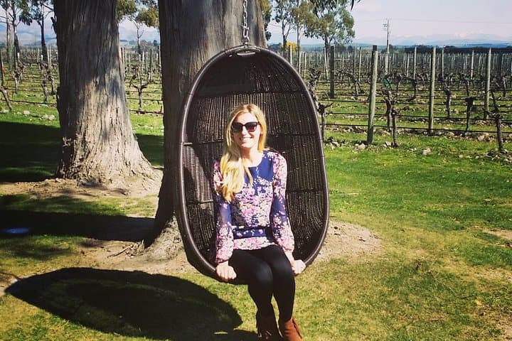 Half-Day Marlborough Wine and Beer Tour with Lunch in Blenheim photo 3