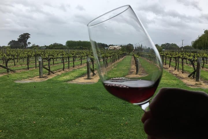 Half-Day Marlborough Wine and Beer Tour with Lunch in Blenheim photo 4