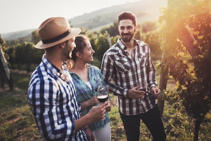 Mount Tamborine Winery Tour from Gold Coast — Gourmet Tastings & Distillery Visit photo 2