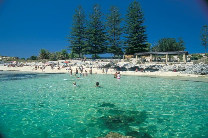 Perth to Rottnest: 15-Minute Seaplane Transfer and Aerial Scenic Flight photo 6
