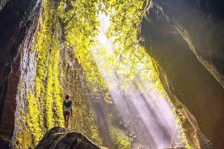 Ubud Swing, Rice Terrace and Waterfall Highlights: Day-Trip Guide