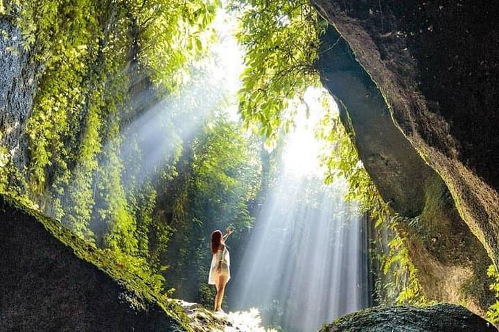 Ubud Swing, Rice Terrace and Waterfall Highlights: Day-Trip Guide photo 2
