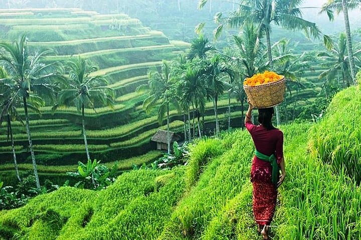 Ubud Swing, Rice Terrace and Waterfall Highlights: Day-Trip Guide photo 6