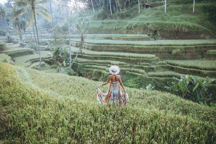 Ubud Swing, Rice Terrace and Waterfall Highlights: Day-Trip Guide photo 5