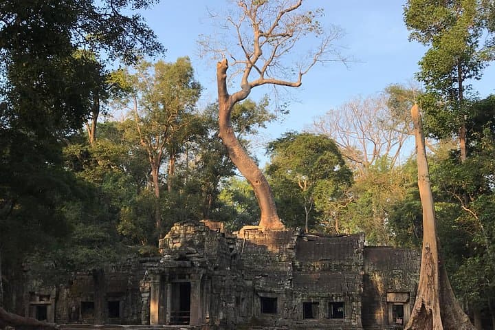 Angkor Wat Sunrise Tour: Angkor Thom, Bayon & Ta Prohm Private Tour photo 5