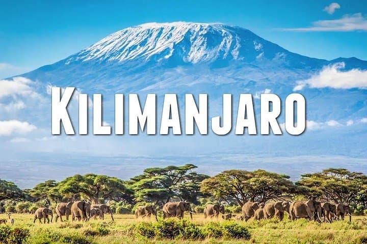 Four-Day Tsavo East, Amboseli & Taita Hills Wildlife Safari