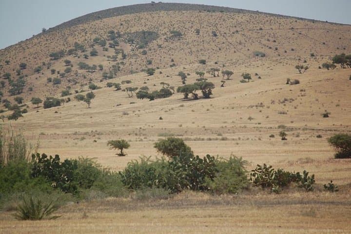 Agadir to the Little Desert: 4x4 Day Trip Through Souss-Massa & Tiznit