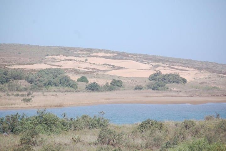 Agadir to the Little Desert: 4x4 Day Trip Through Souss-Massa & Tiznit photo 2