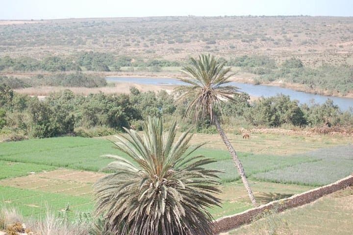 Agadir to the Little Desert: 4x4 Day Trip Through Souss-Massa & Tiznit photo 3