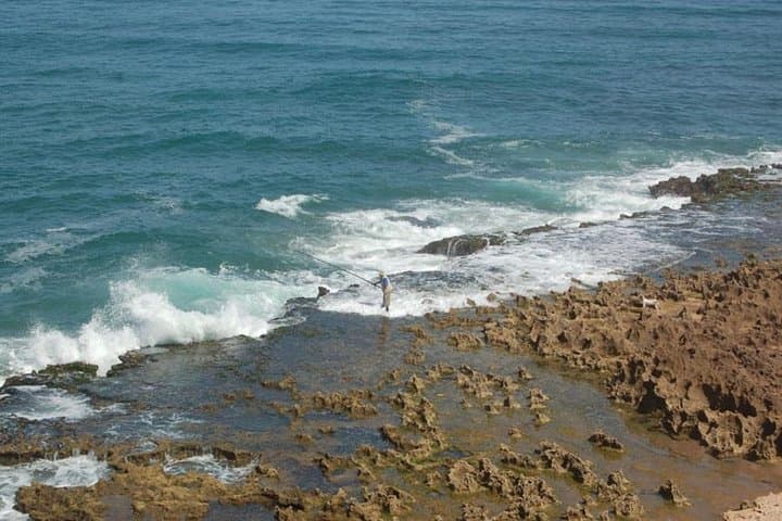 Agadir to the Little Desert: 4x4 Day Trip Through Souss-Massa & Tiznit photo 6