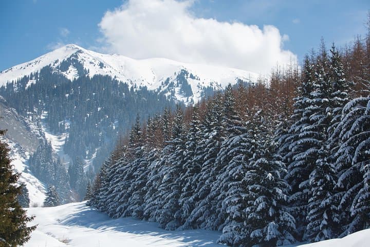 Winter Alatau: 5-Day Backcountry Skitour from Almaty photo 2