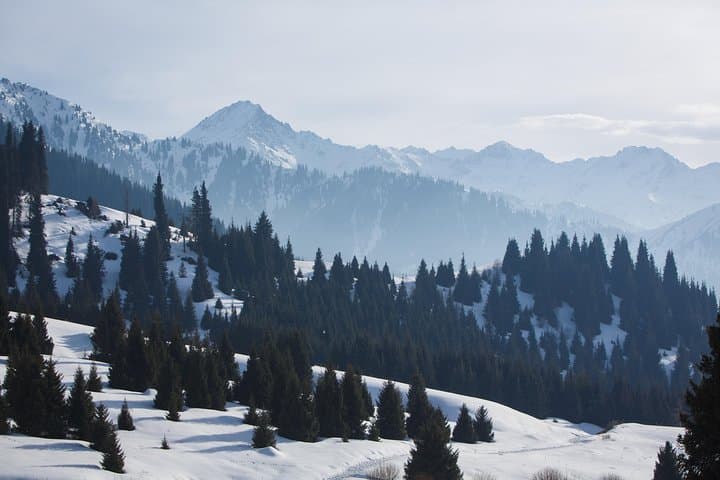 Winter Alatau: 5-Day Backcountry Skitour from Almaty photo 4