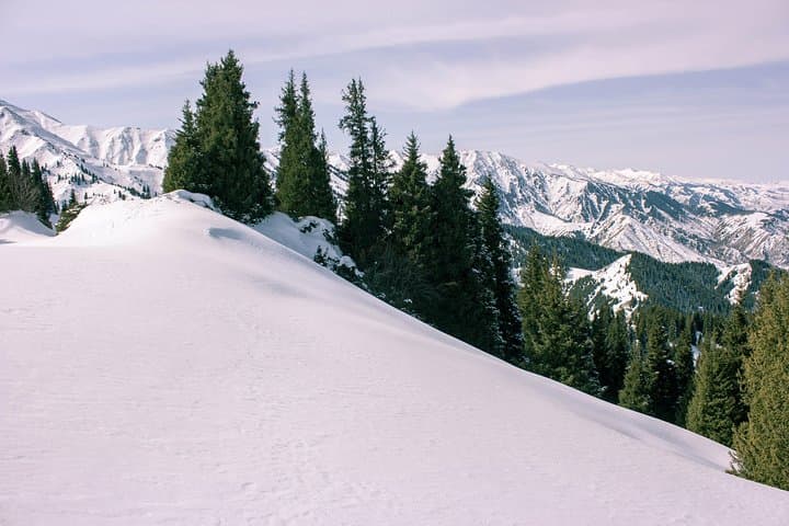 Winter Alatau: 5-Day Backcountry Skitour from Almaty photo 5