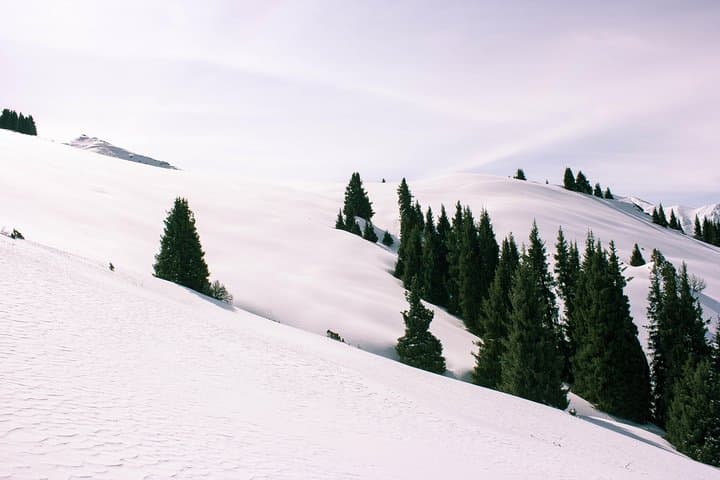 Winter Alatau: 5-Day Backcountry Skitour from Almaty photo 6